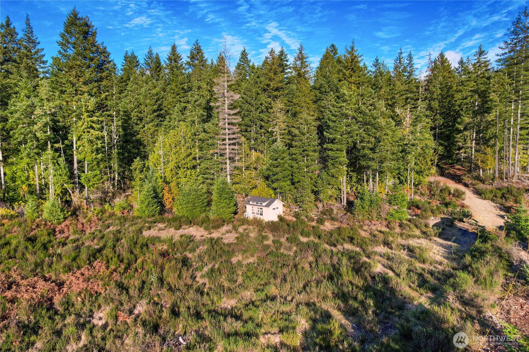 63 Wayne Road West Seabeck, WA 98380 - Photo 6 of 22 a view of a yard