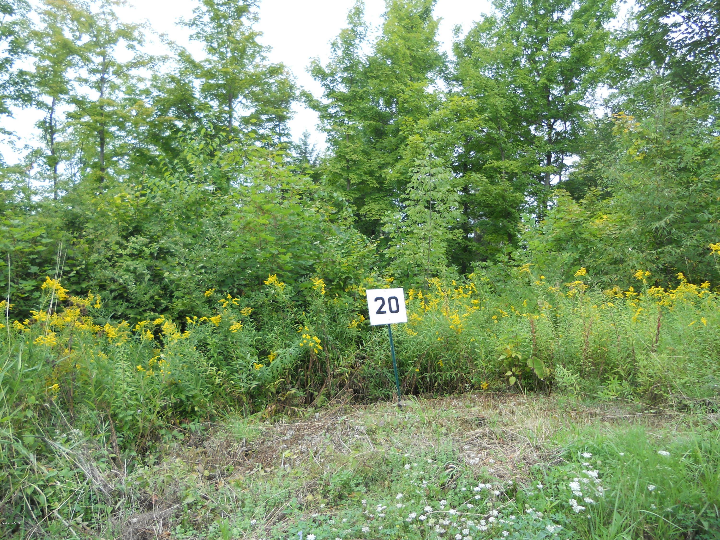 Lot 20 Jenks Road Cheshire, MA 01225 - Photo 1 of 8 a view of outdoor space and yard