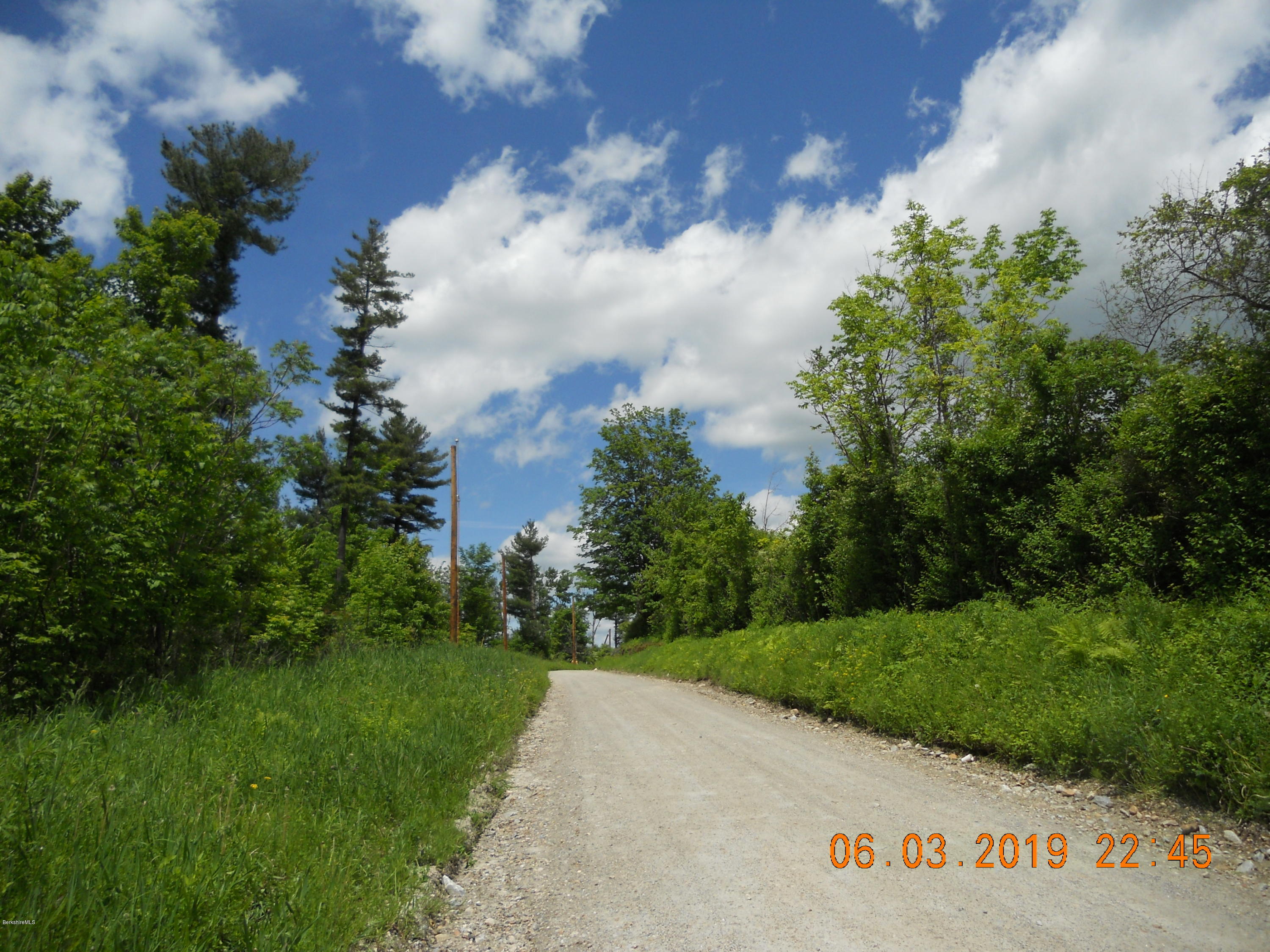 Lot 20 Jenks Road Cheshire, MA 01225 - Photo 2 of 8 a view of a park with plants and trees