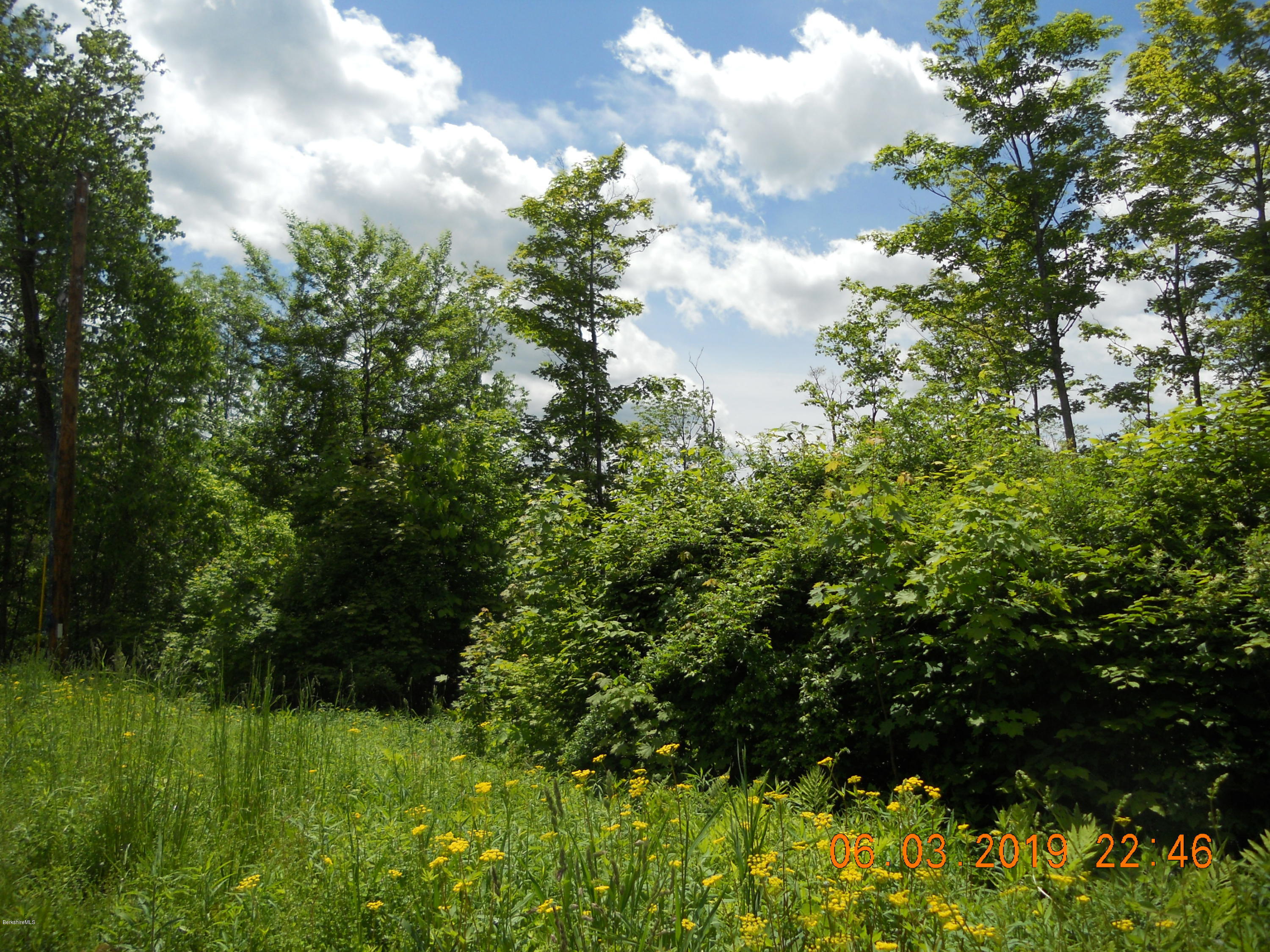 Lot 20 Jenks Road Cheshire, MA 01225 - Photo 3 of 8 a view of a garden