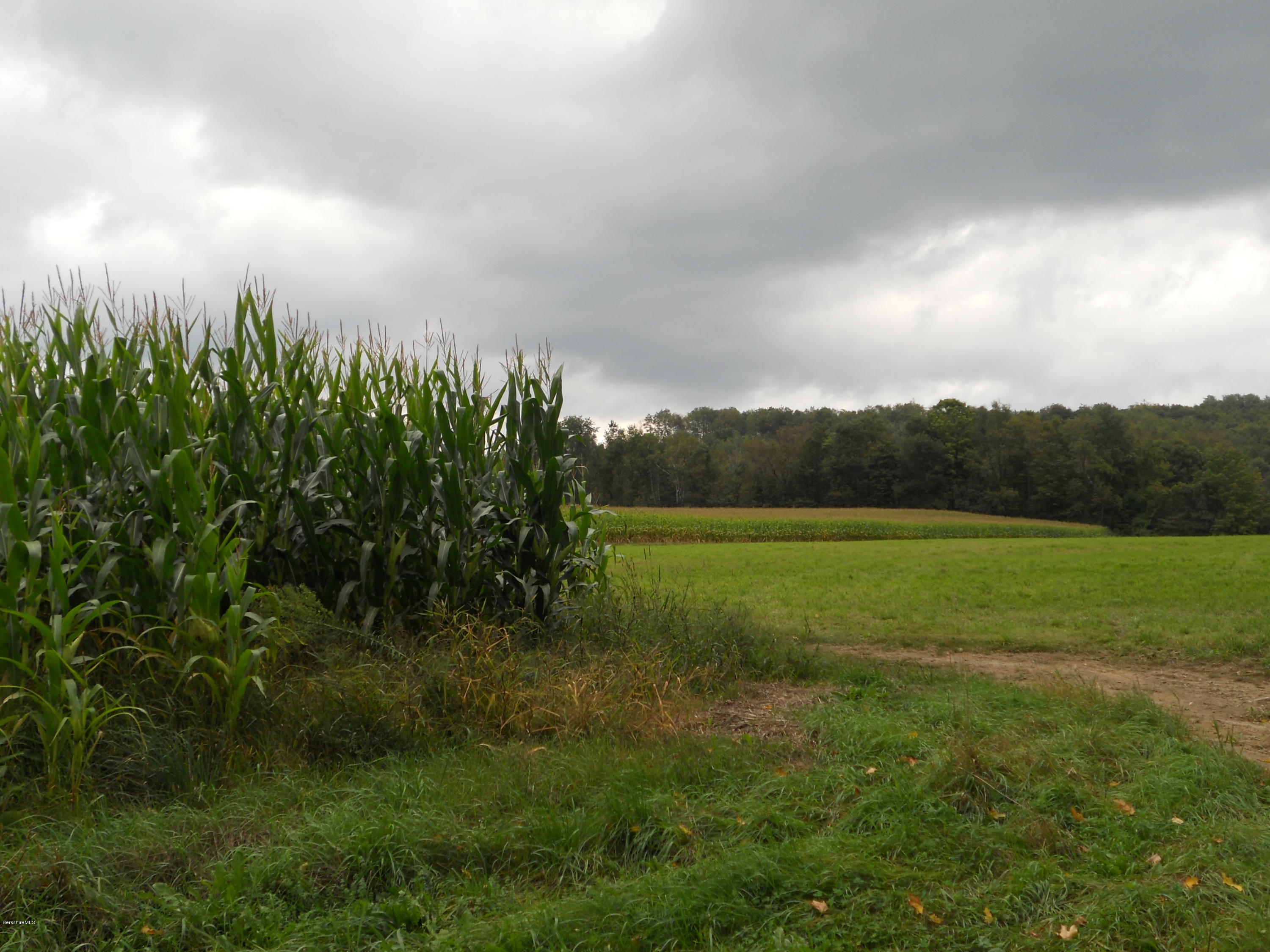 Lot 20 Jenks Road Cheshire, MA 01225 - Photo 5 of 8 a view of a green field with trees in the background