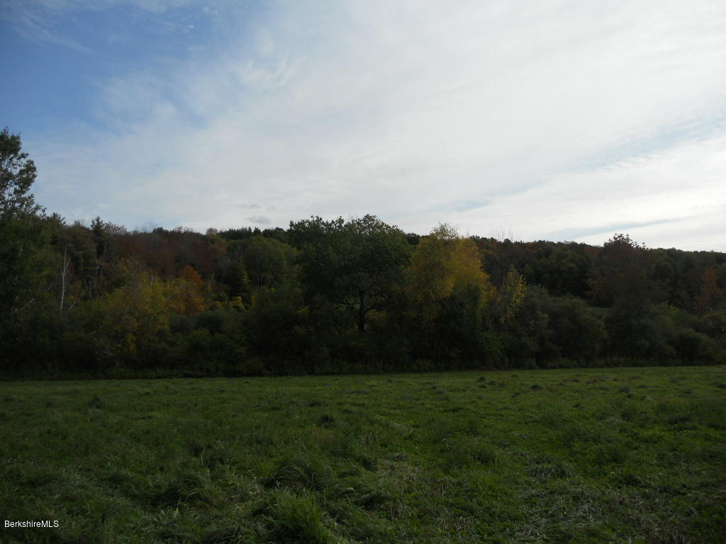 Lot 20 Jenks Road Cheshire, MA 01225 - Photo 7 of 8 a view of outdoor space and yard