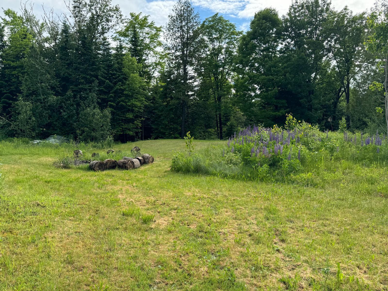 164 McDonald Road Castle Hill, ME 04757 - Photo 6 of 24 WhatsApp Image 2024-06-20 at 02.56.02 (1