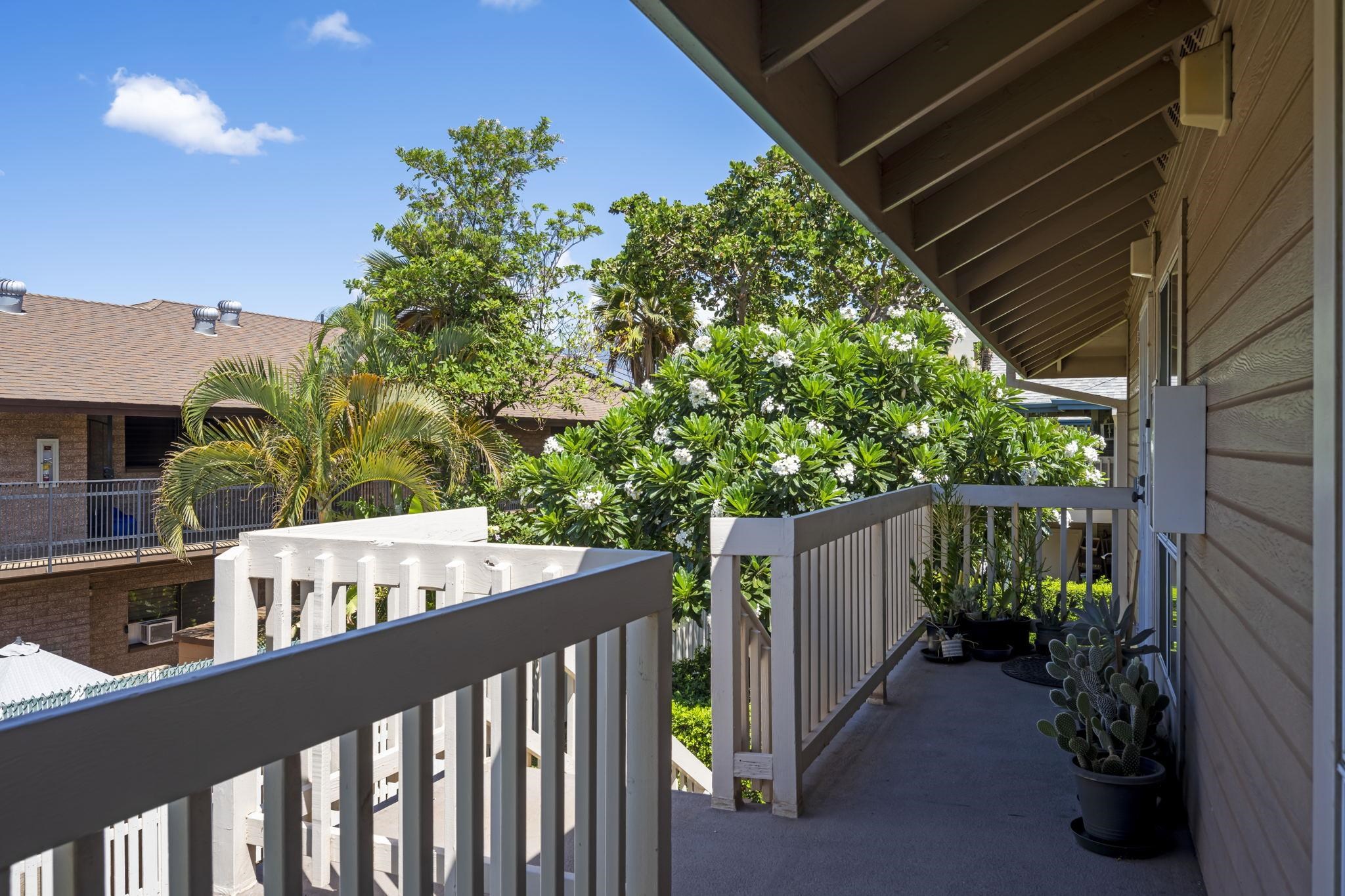 480 Kenolio Road, Unit 31205 Kihei, HI 96753 - Photo 4 of 45 a view of a small yard in front of house with a yard