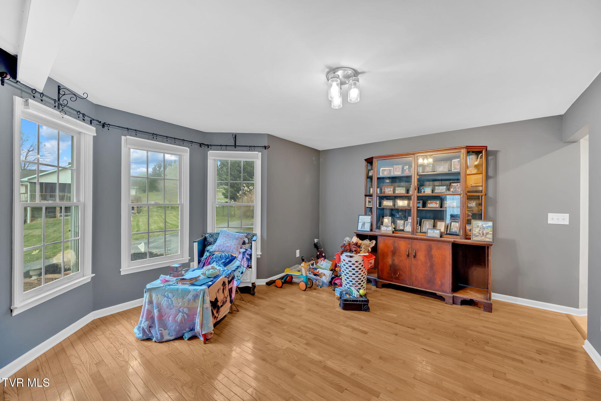 163 Springbrook Road Unicoi, TN 37692 - Photo 12 of 51 12-web-or-mls-DSC06348