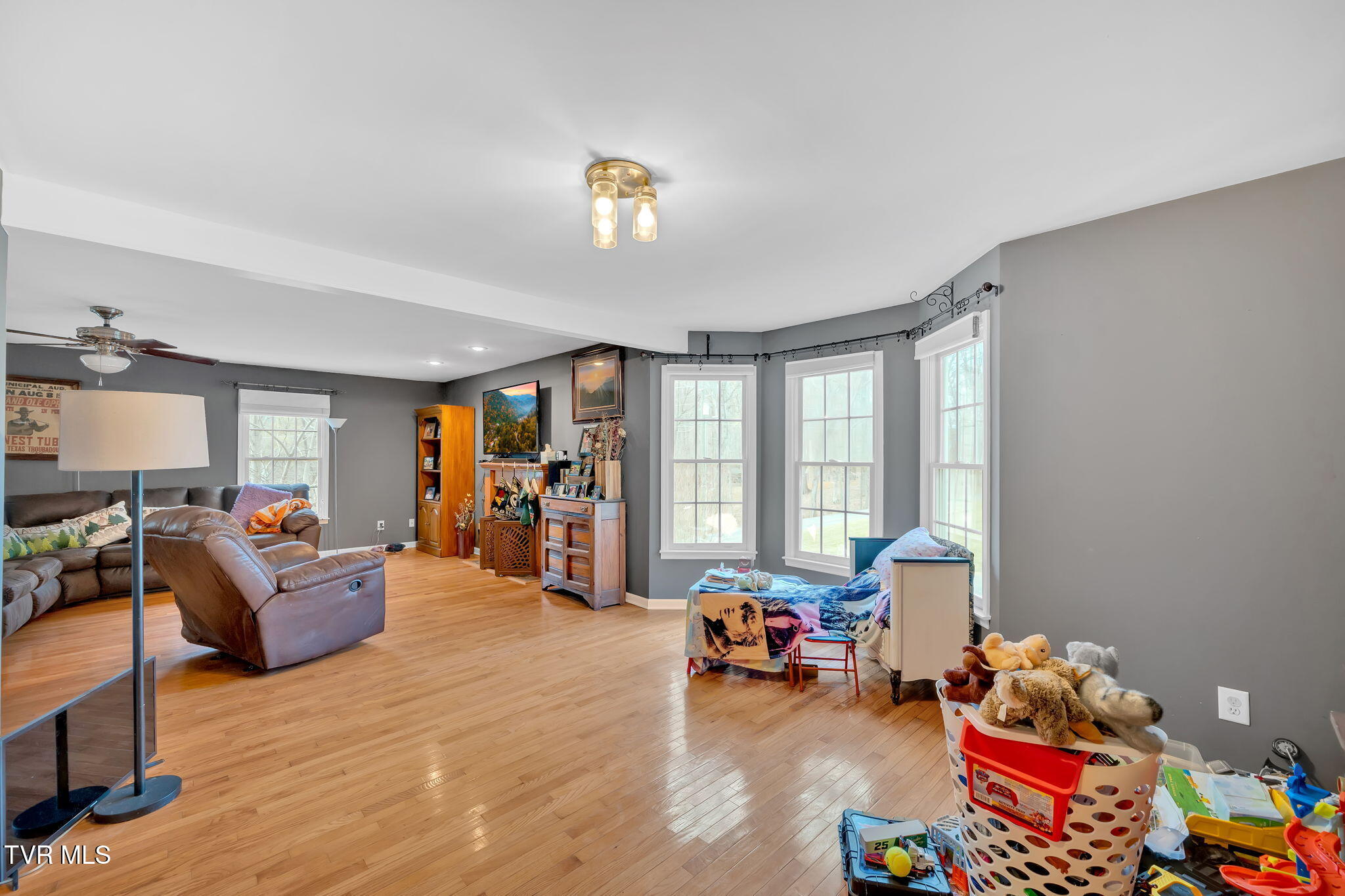 163 Springbrook Road Unicoi, TN 37692 - Photo 13 of 51 13-web-or-mls-DSC06351