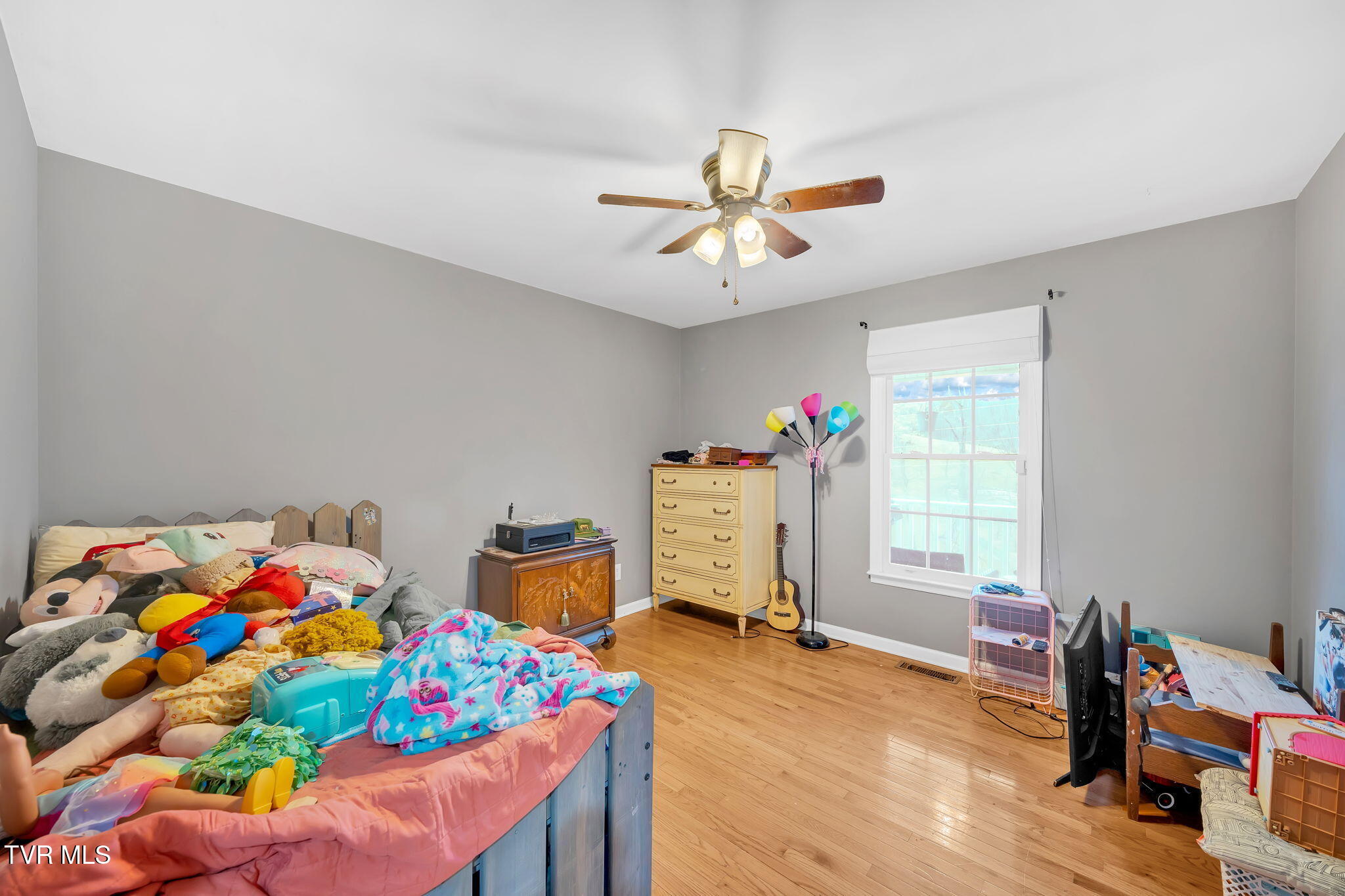 163 Springbrook Road Unicoi, TN 37692 - Photo 17 of 51 17-web-or-mls-DSC06363