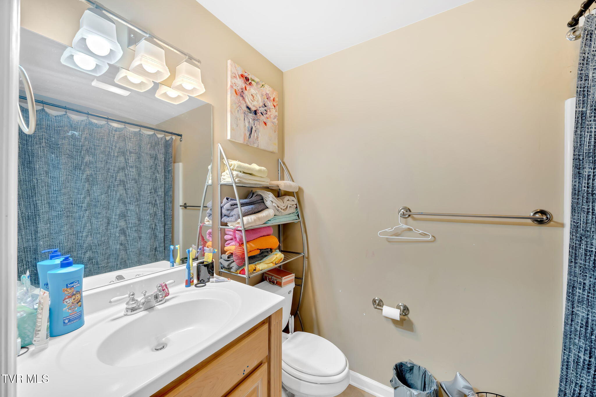 163 Springbrook Road Unicoi, TN 37692 - Photo 18 of 51 18-web-or-mls-DSC06366