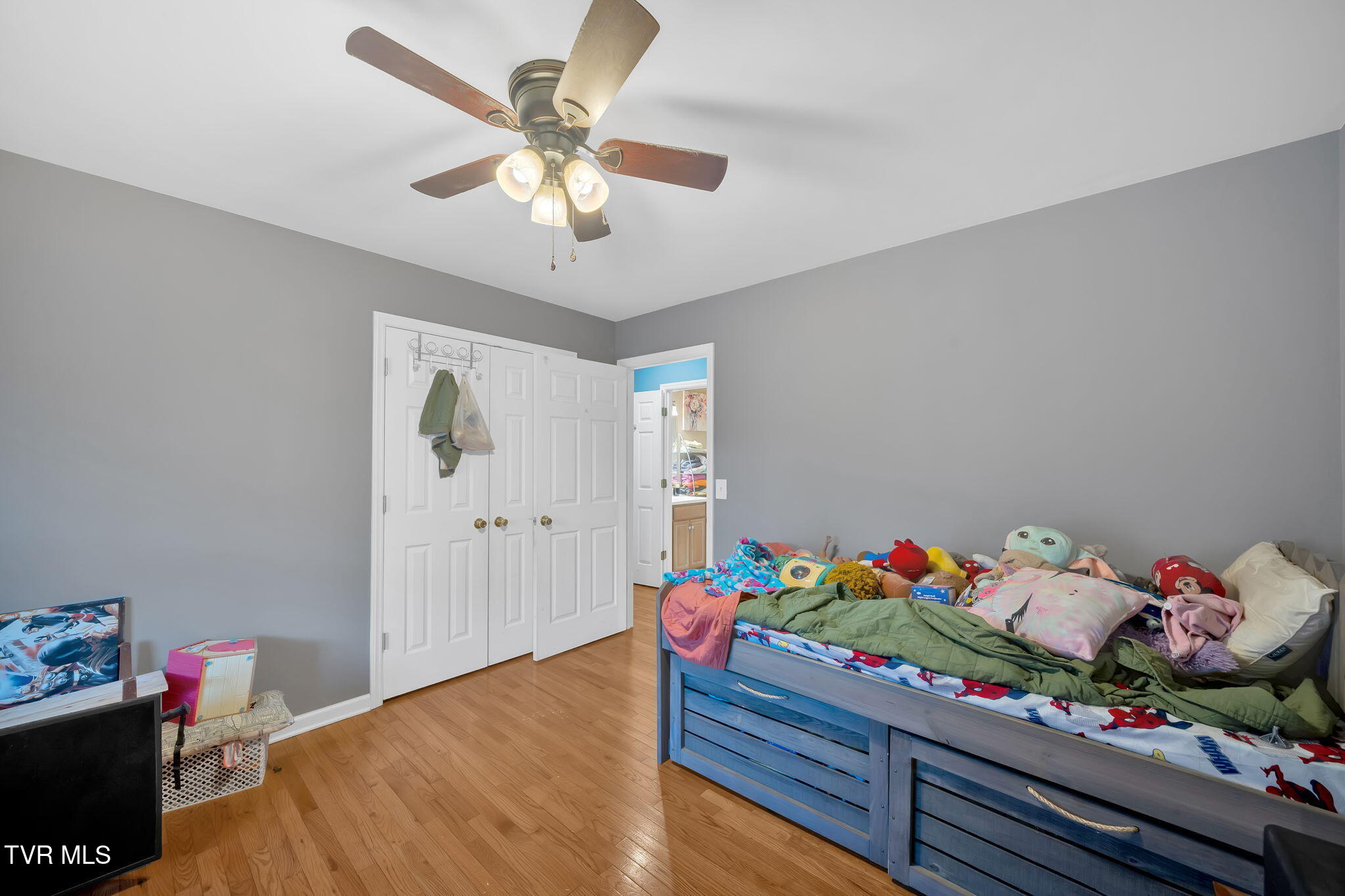 163 Springbrook Road Unicoi, TN 37692 - Photo 19 of 51 19-web-or-mls-DSC06369