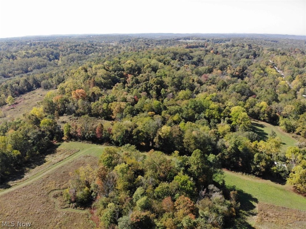 9300 Hidden Springs Road Hopewell, OH 43746 - Photo 10 of 14 Gallery Image 10