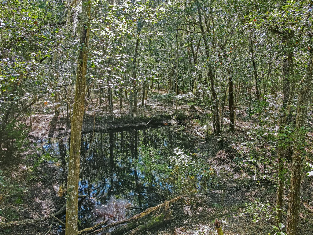 Parcel D Barnwell Road Fernandina Beach, FL 32034 - Photo 16 of 27 Gallery Image 16