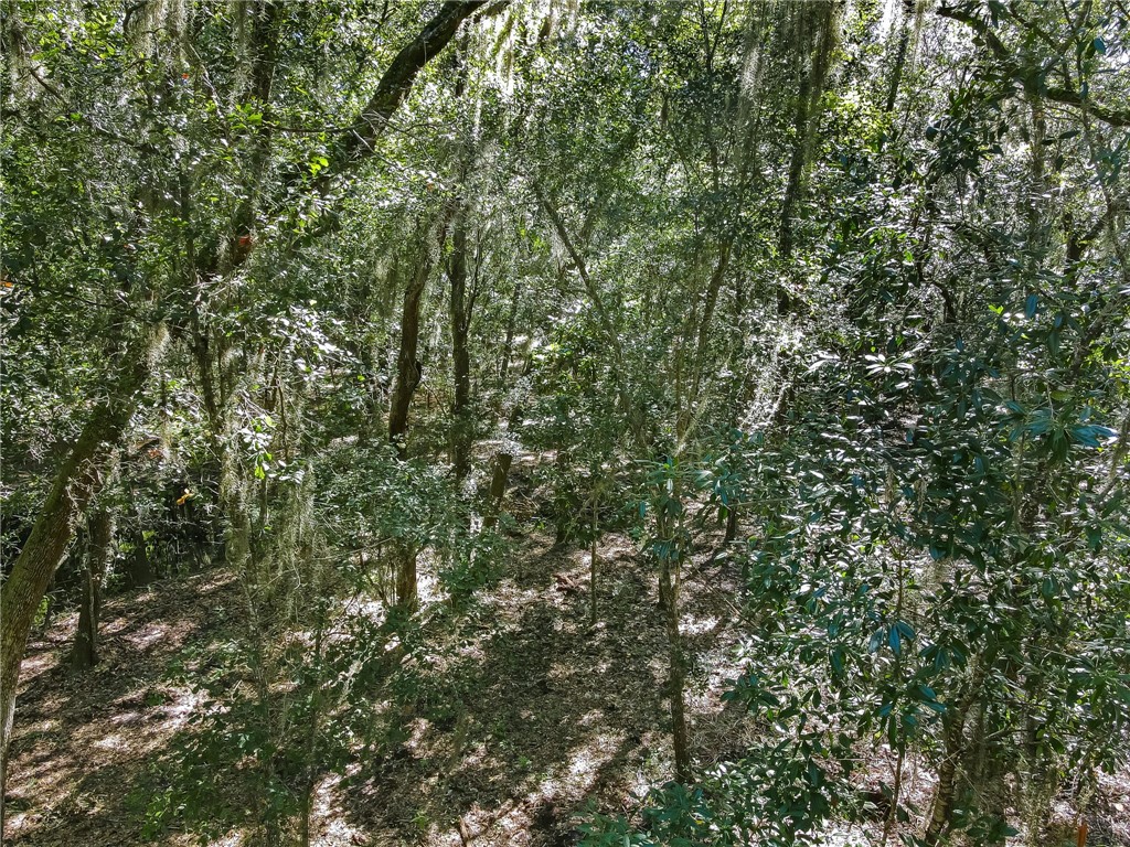 Parcel D Barnwell Road Fernandina Beach, FL 32034 - Photo 17 of 27 Gallery Image 17