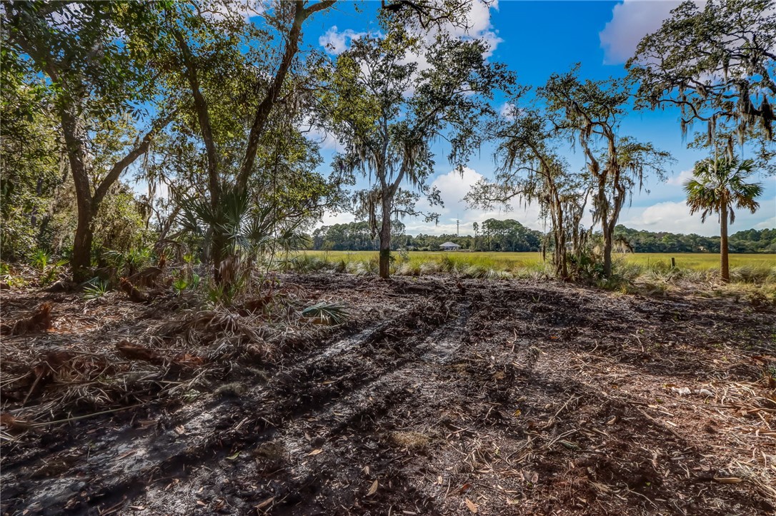 Parcel D Barnwell Road Fernandina Beach, FL 32034 - Photo 2 of 27 Gallery Image 2