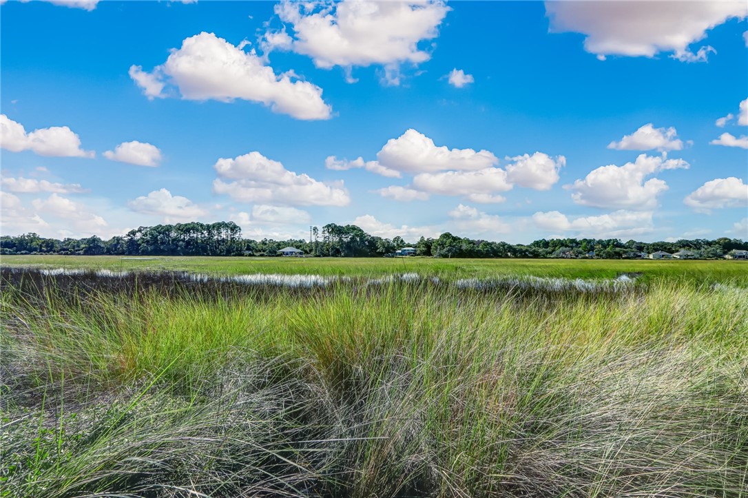 Parcel D Barnwell Road Fernandina Beach, FL 32034 - Photo 3 of 27 Gallery Image 3