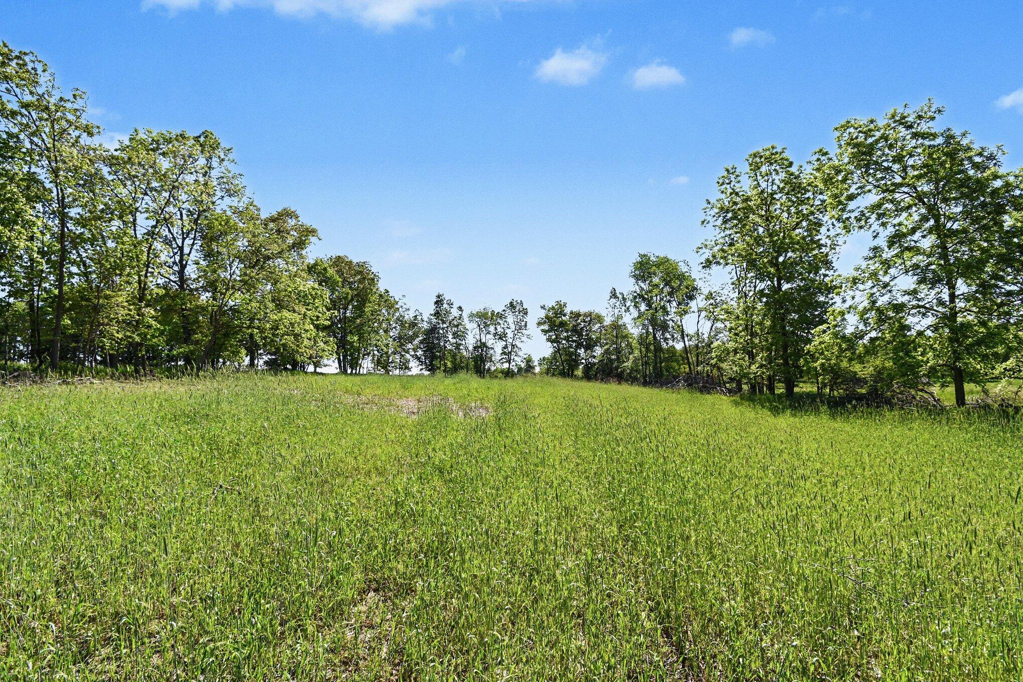 0 East Charles Road Ionia, MI 48846 - Photo 6 of 25 004_file_6269