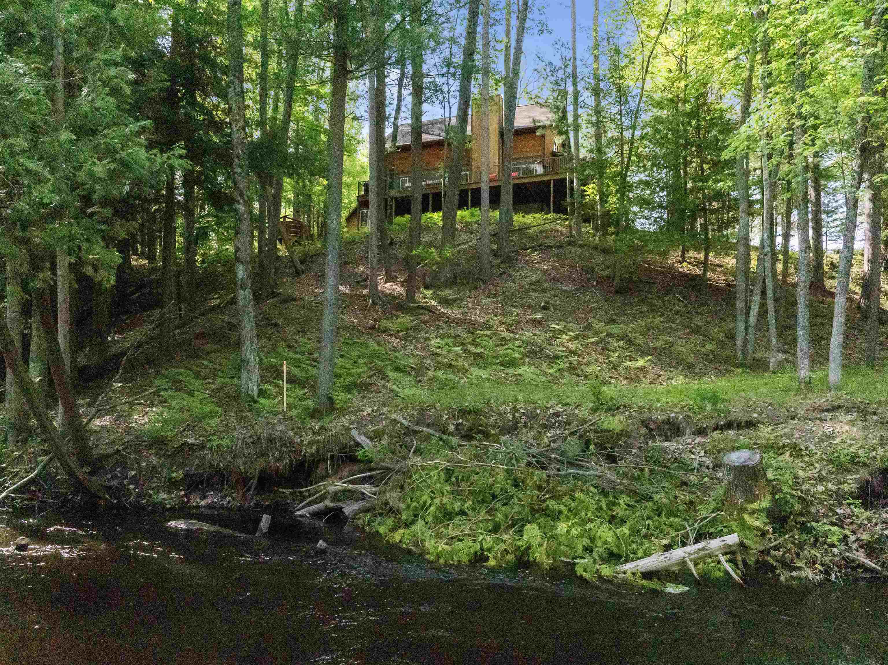 8088 North Roberts Road Irons, MI 49644 - Photo 7 of 74