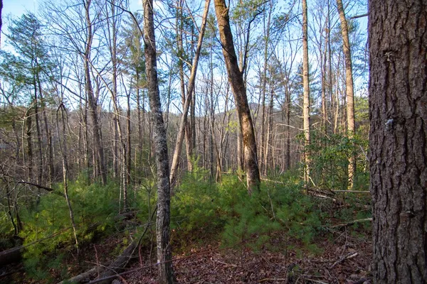 $719,000 | 3 Rock Creek Court, Cherry Log, GA 30522