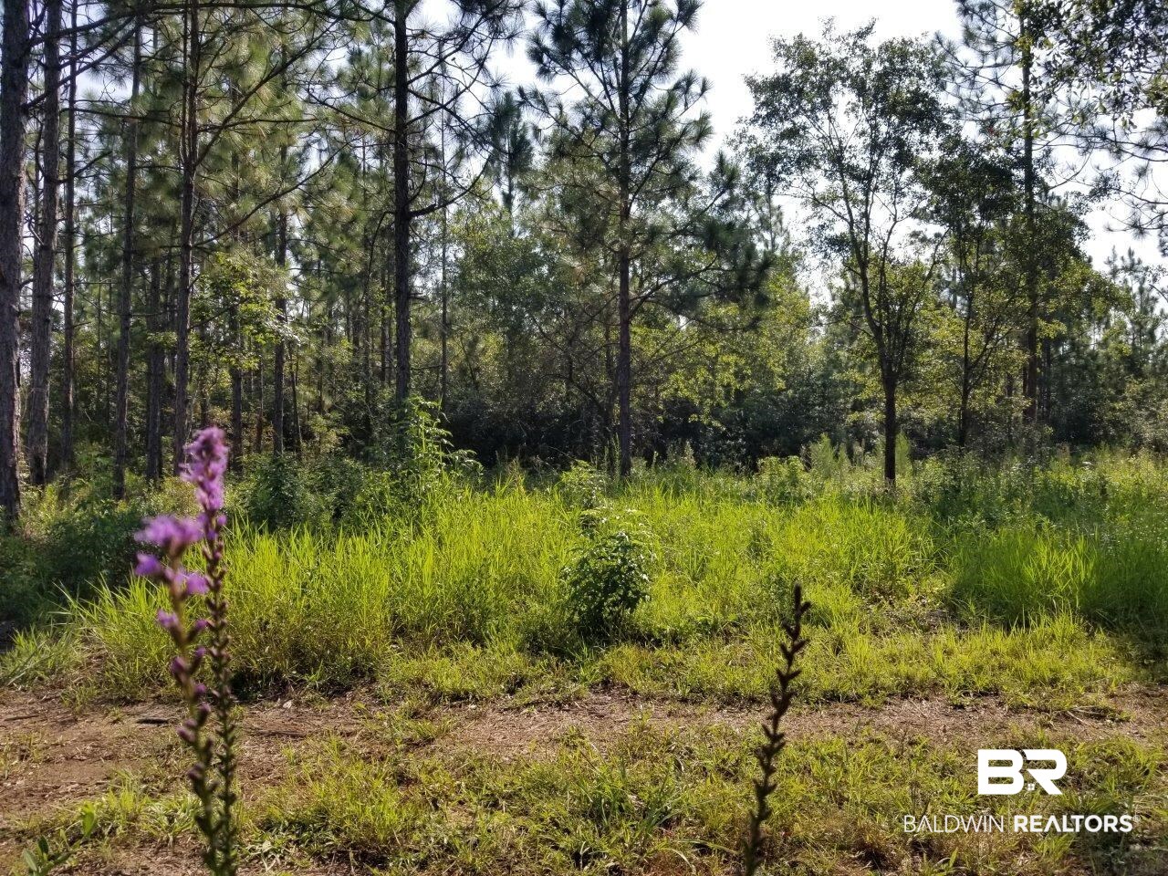 0 Jerkins Loop Atmore, AL 36502 - Photo 7 of 50