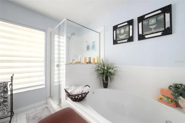 a bath room with a bathtub and a potted plant