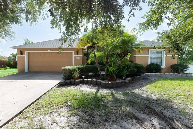 a view of a backyard with plants and a patio