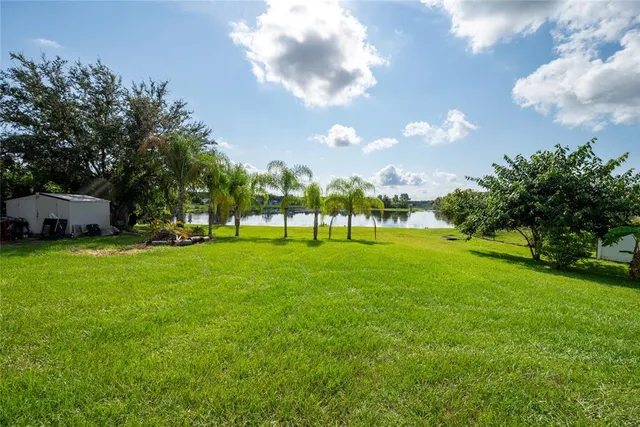 a view of a park with large trees