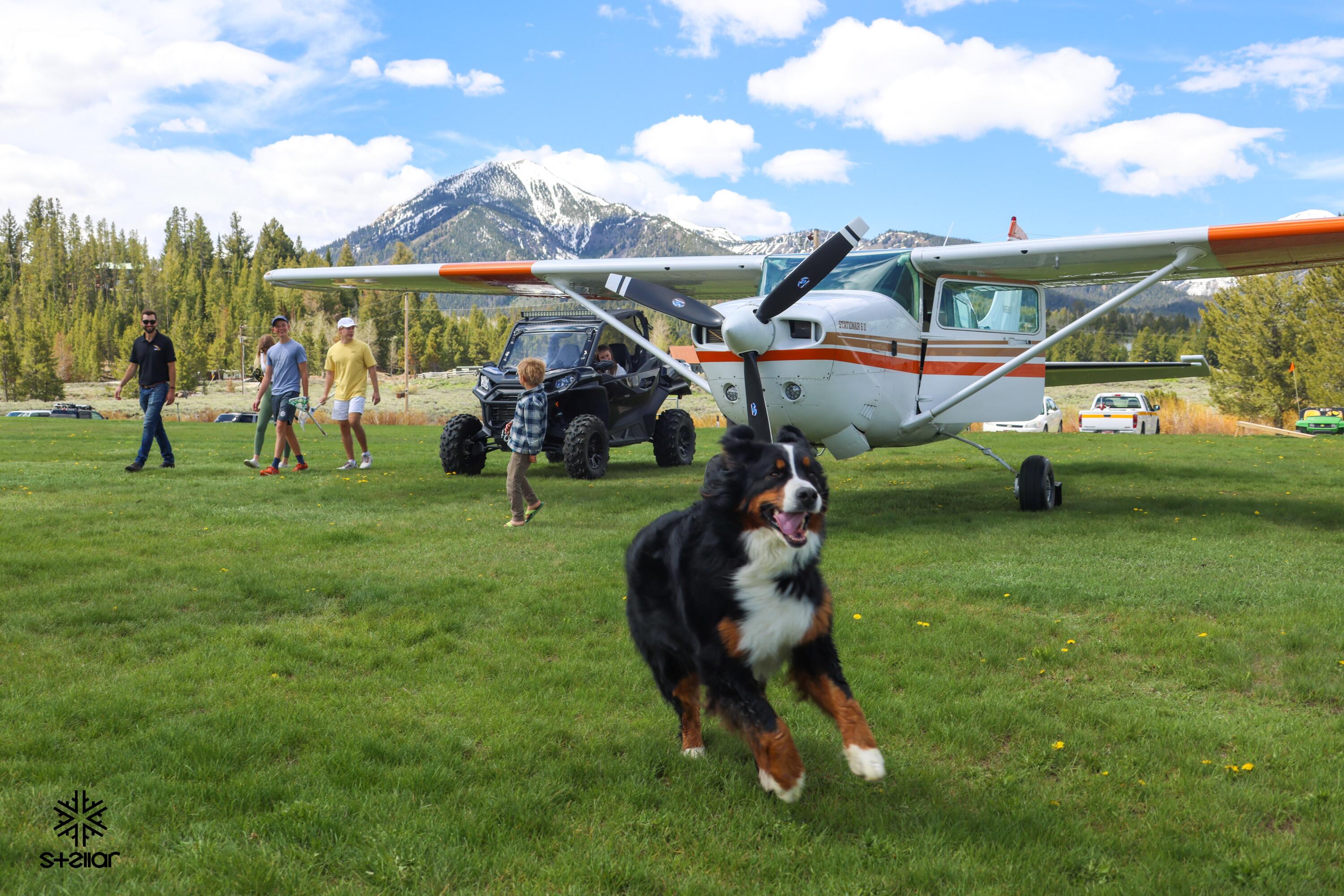 16825 Highway 75 Stanley, ID 83278 - Photo 50 of 52 Take your pets and friends to the ranch