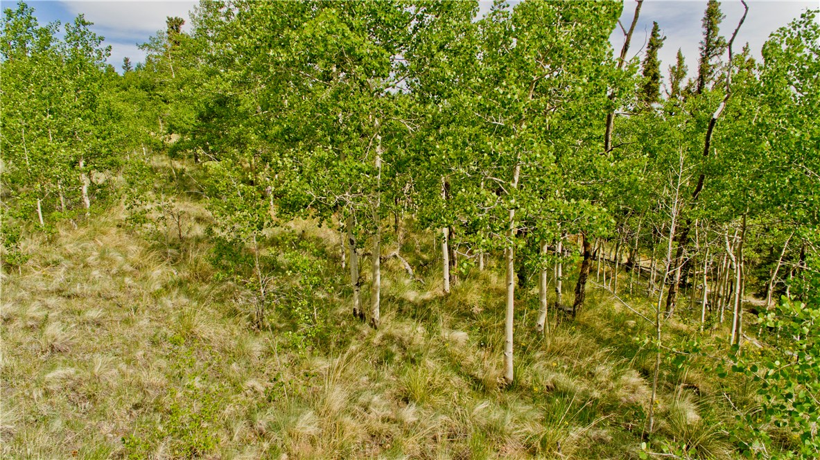 479 Sheep Ridge Road Fairplay, CO 80440 - Photo 5 of 8 Gallery Image 5