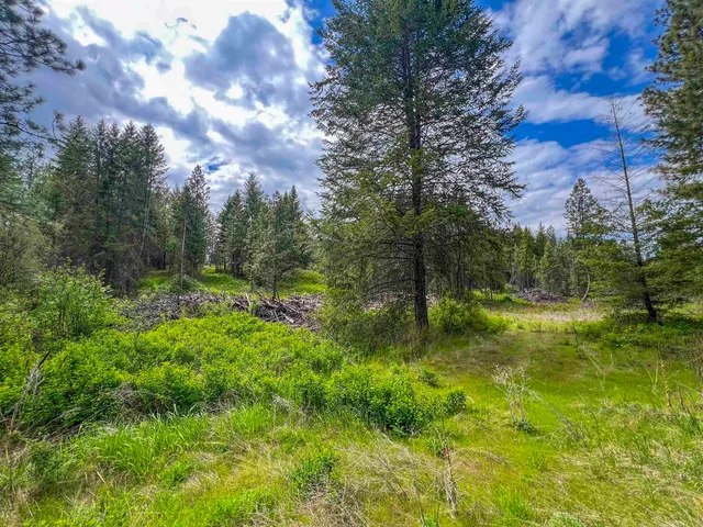 $140,000 | 20-xx Clemons Road, Rice, WA 99167