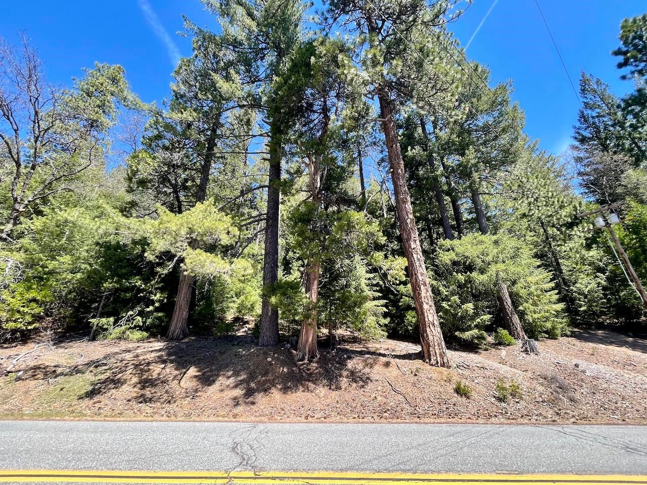 8 Acres Deetz Road Mount Shasta, CA 96067 - Photo 9 of 10 Gallery Image 9