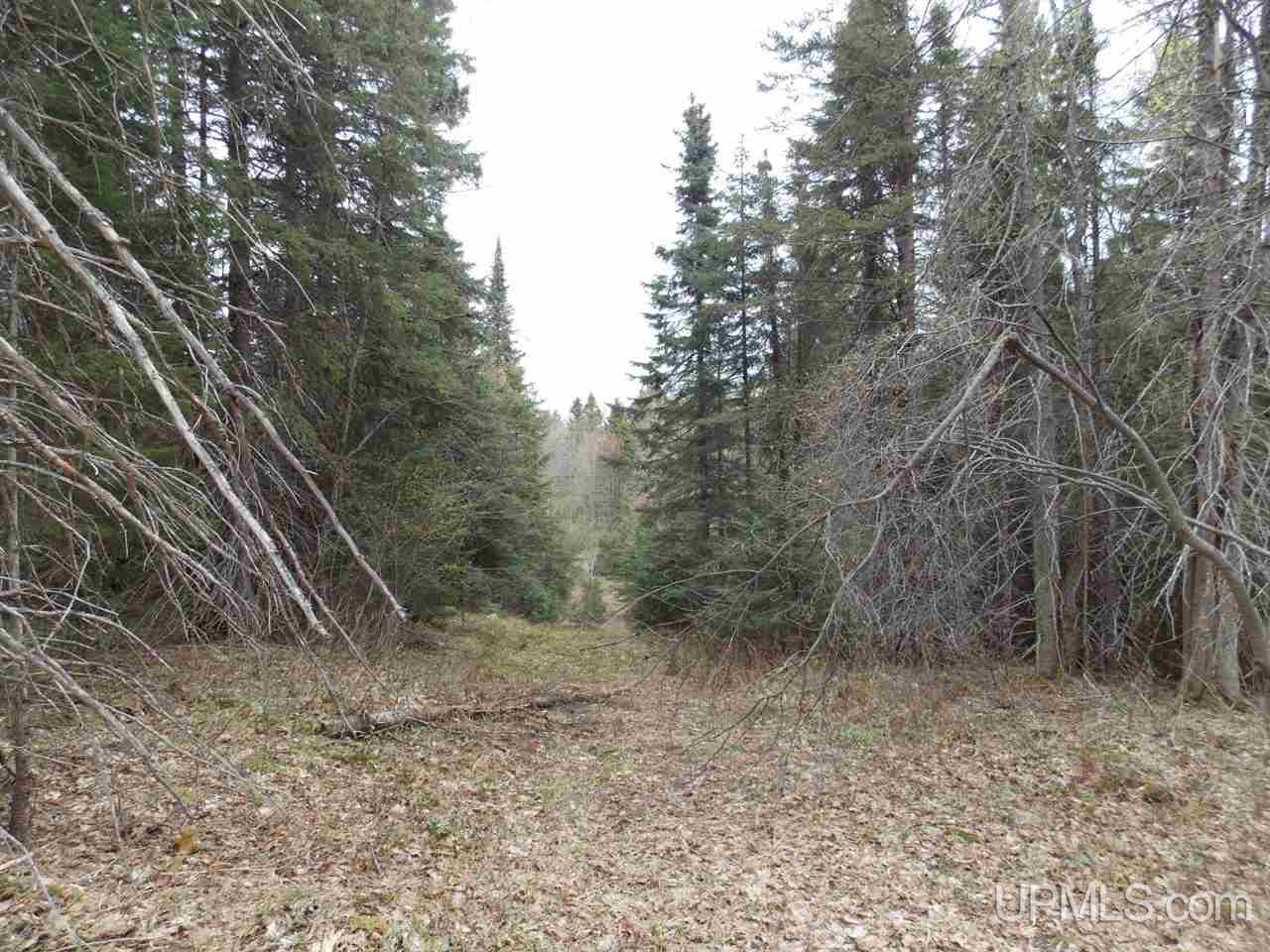 Tbd Tbd Off Hakkinen Road Lanse, MI 49946 - Photo 4 of 9