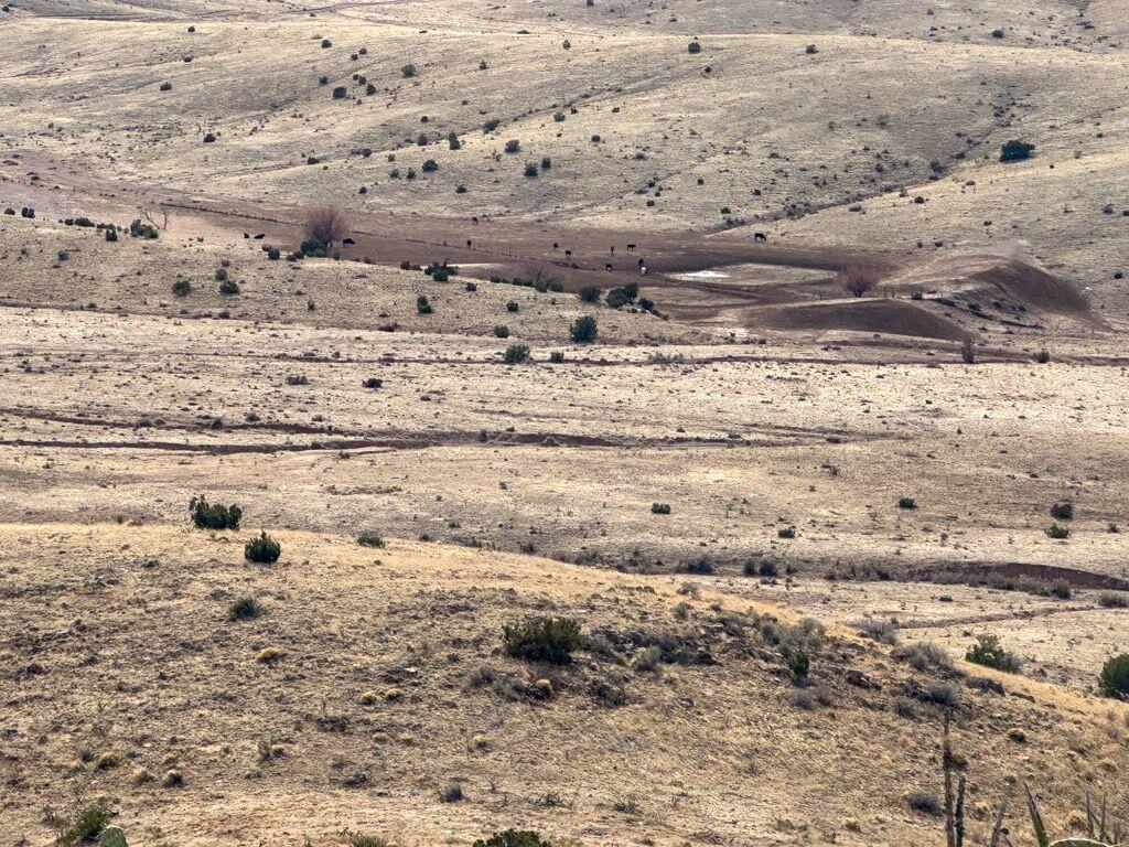 Table Mountain Road, Unit R004079 Socorro, NM 87801 - Photo 9 of 21 Gallery Image 9