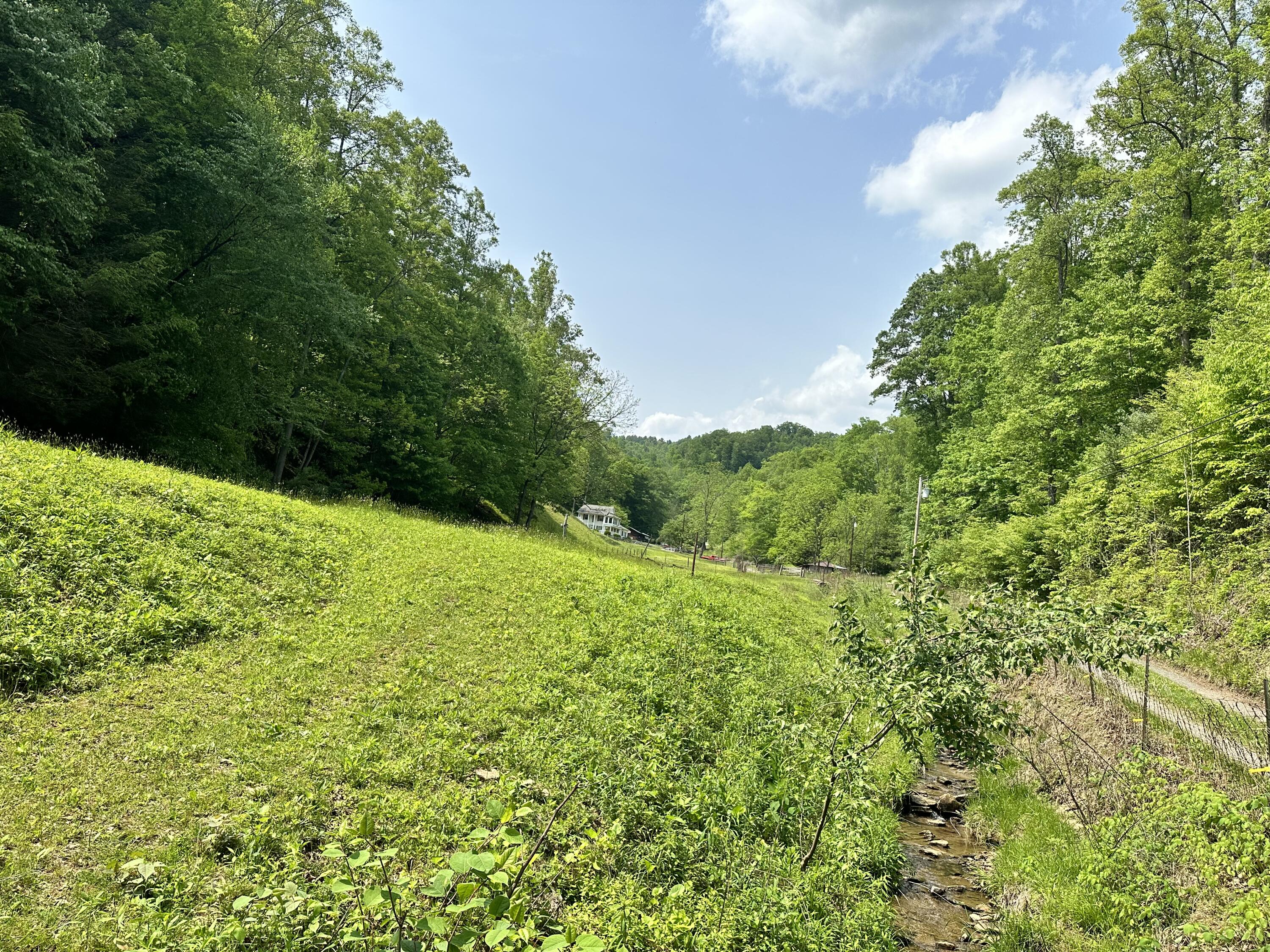 3629 Hall Hollow Road Coeburn, VA 24230 - Photo 12 of 22 IMG_7103