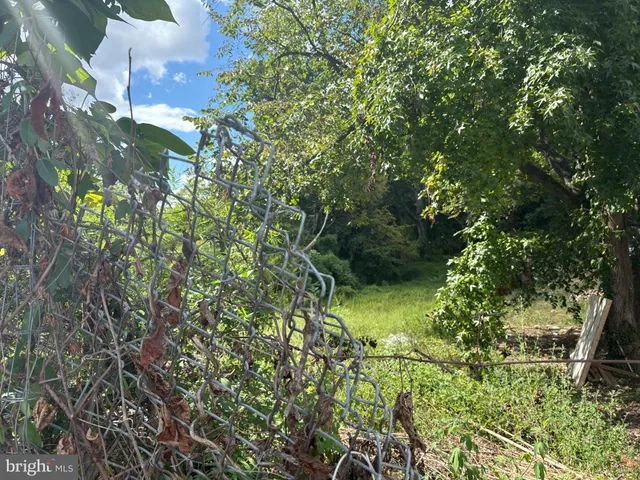 a view of a tree in a backyard of a house