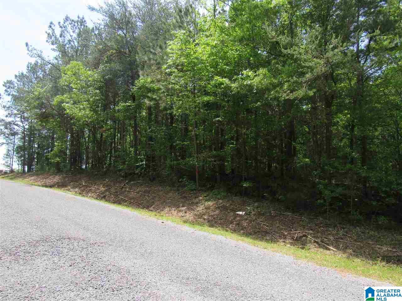 0 County Road 895, Unit 17 ACRES Lineville, AL 36266 - Photo 2 of 30