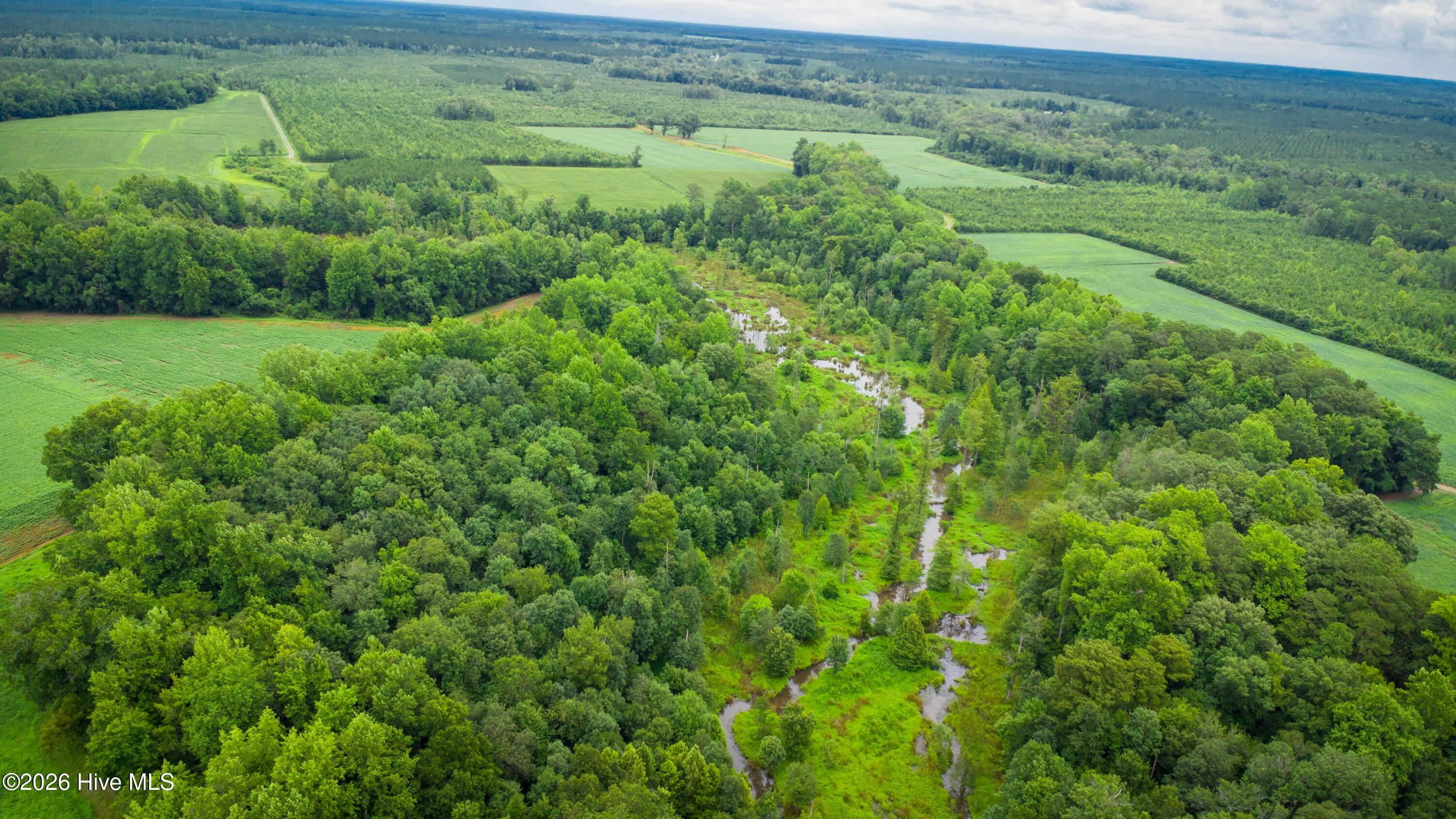 1601 Hill Neck Road Ernul, NC 28527 - Photo 9 of 33 Over 230 Acres of Opportunity
