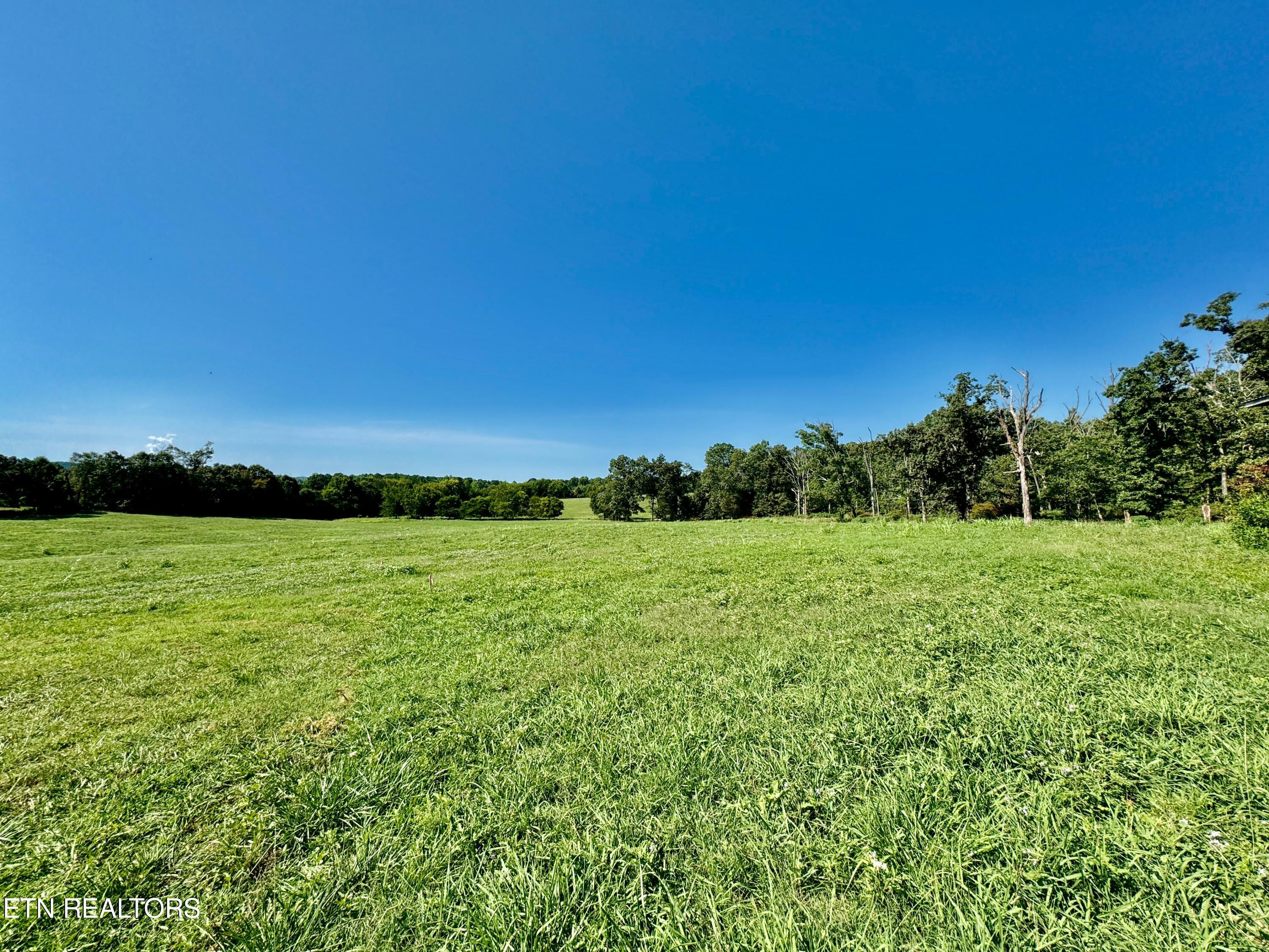 2211 Muddy Creek Road Spring City, TN 37381 - Photo 54 of 60 1-64