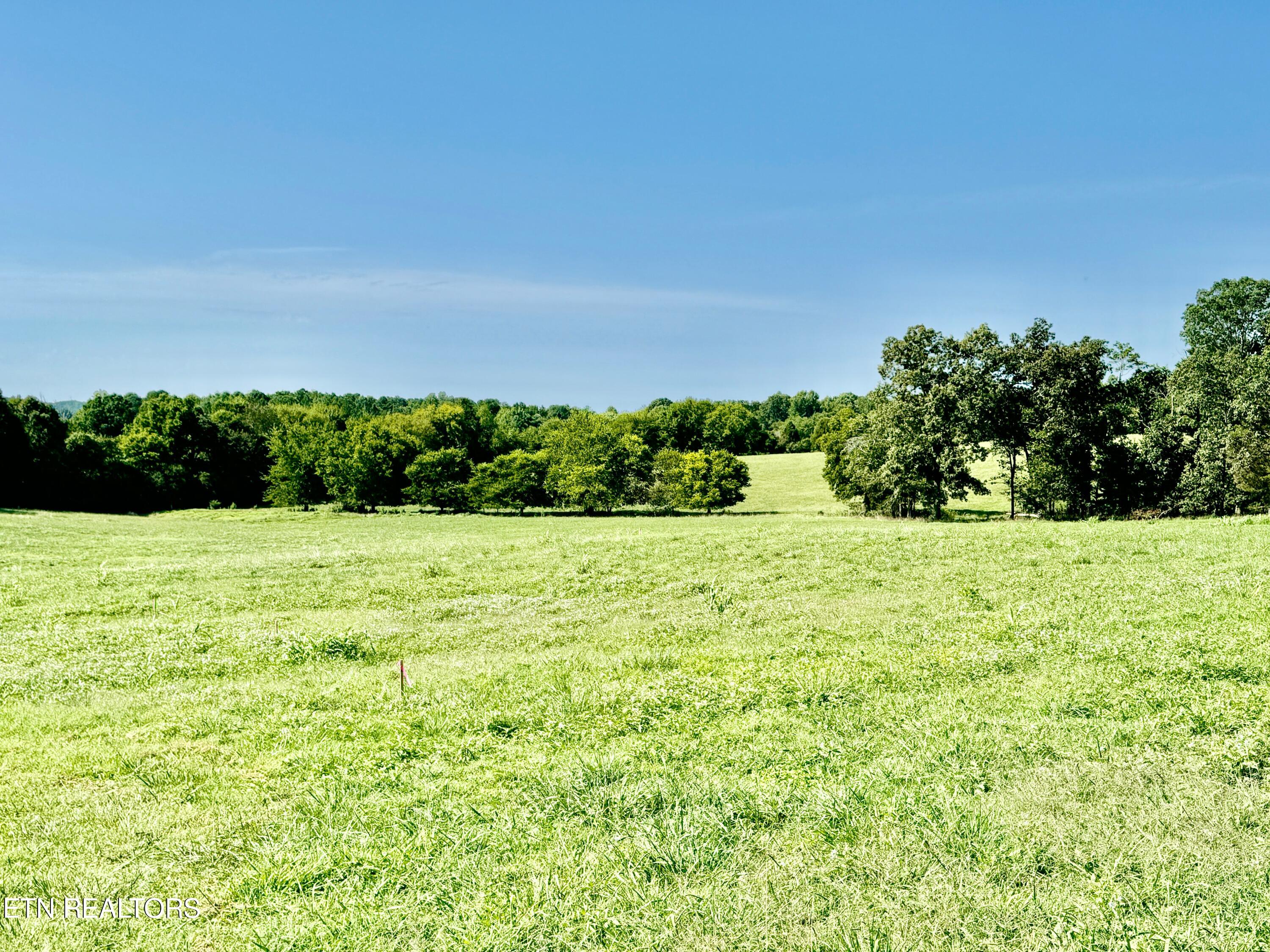 2211 Muddy Creek Road Spring City, TN 37381 - Photo 55 of 60 1-65