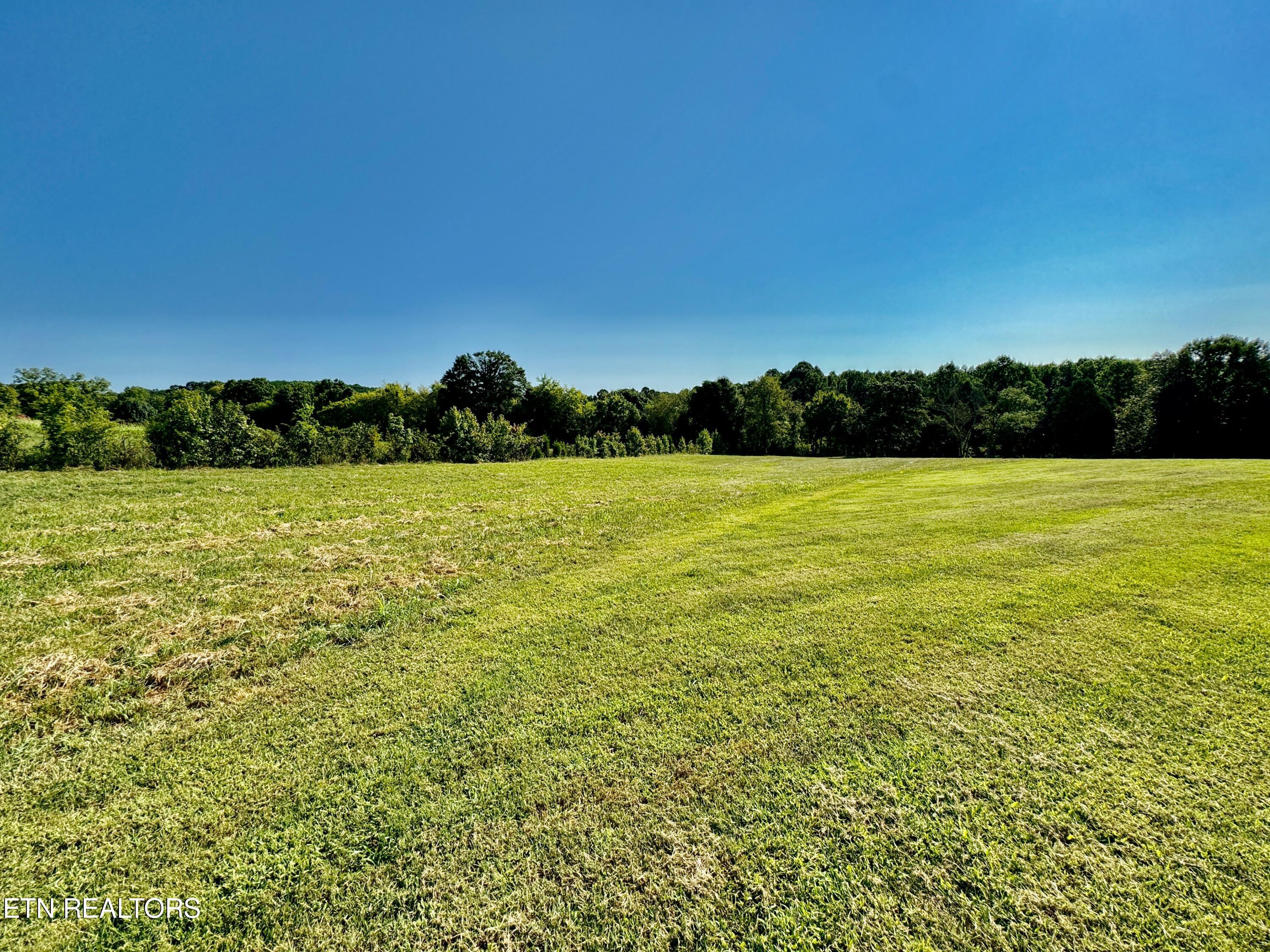 2211 Muddy Creek Road Spring City, TN 37381 - Photo 10 of 60 1-15