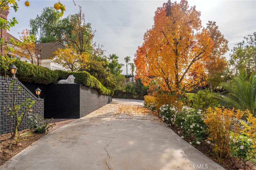 2225 Da Vinci Drive Riverside, CA 92506 - Photo 54 of 60 a view of a yard with plants and trees