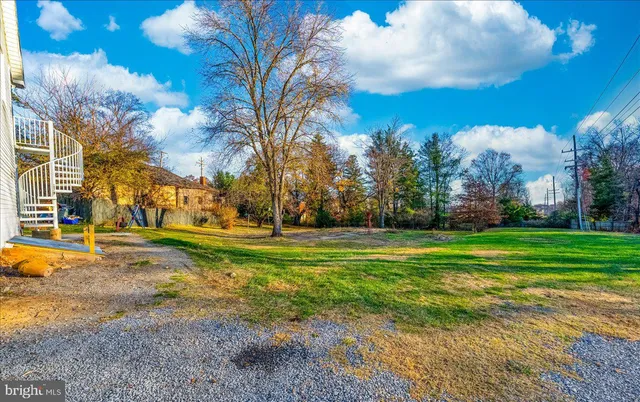 a view of yard with large tree