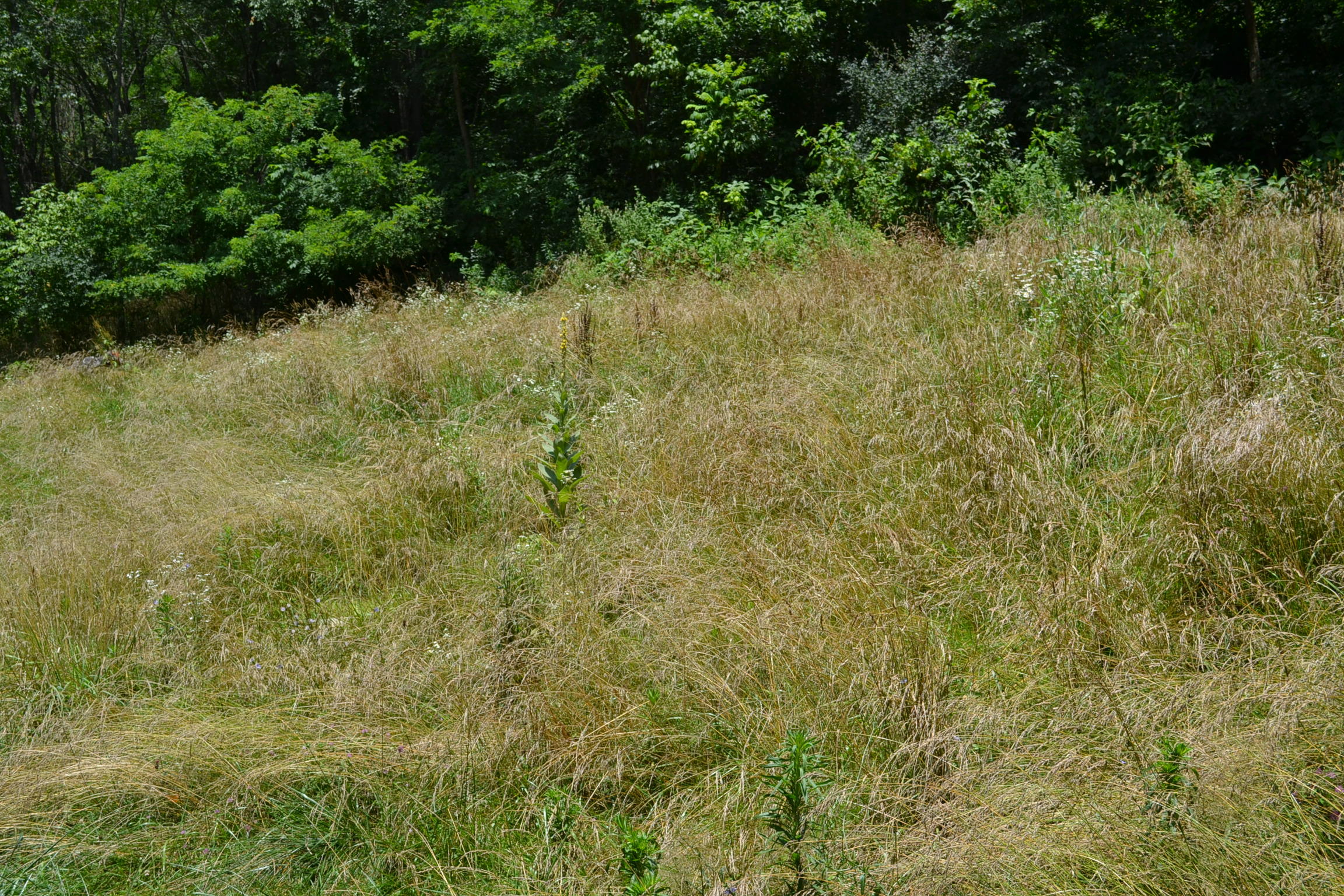 187 Cades Field Road Union, WV 24983 - Photo 6 of 7 Gallery Image 6