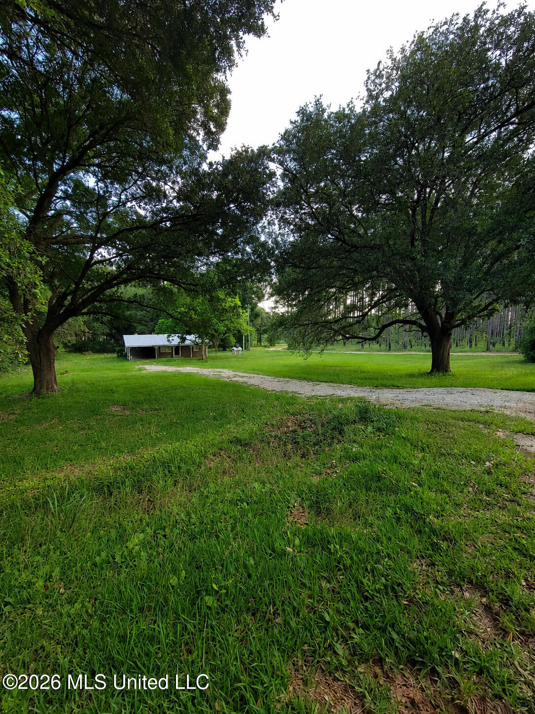 2203 Cooks Corner Road Lucedale, MS 39452 - Photo 2 of 14 01