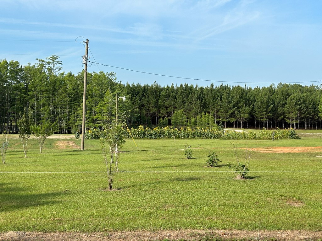 3876 D D Hodge Road Cottonwood, AL 36320 - Photo 6 of 48