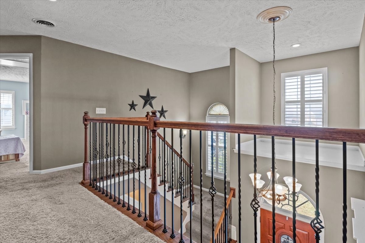 392 Abbie Road Murfreesboro, TN 37128 - Photo 31 of 39 Gallery Image 31