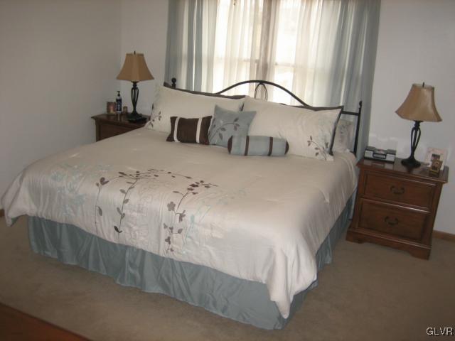 796 Hunter Road Easton, PA 18040 - Photo 11 of 17 Master Bedroom Suite