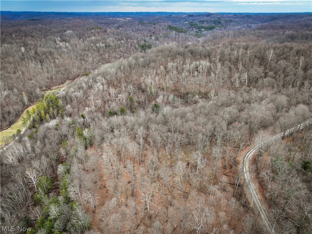 13 Ayers Ridge Lower Salem, OH 45745 - Photo 16 of 32 Aerial view of a heavily wooded area
