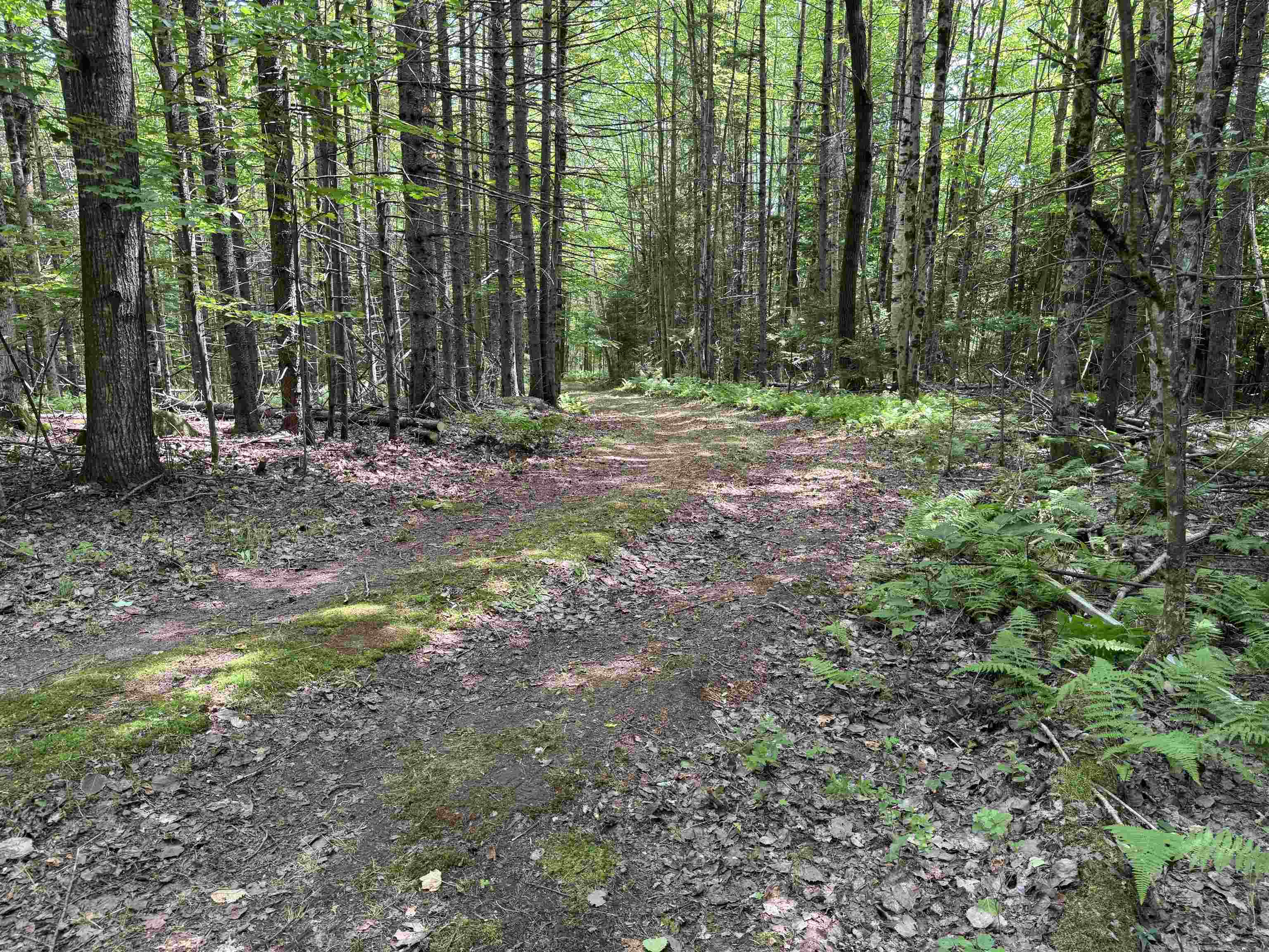 Tbd Richard Woolcutt Road Wolcott, VT 05680 - Photo 18 of 18