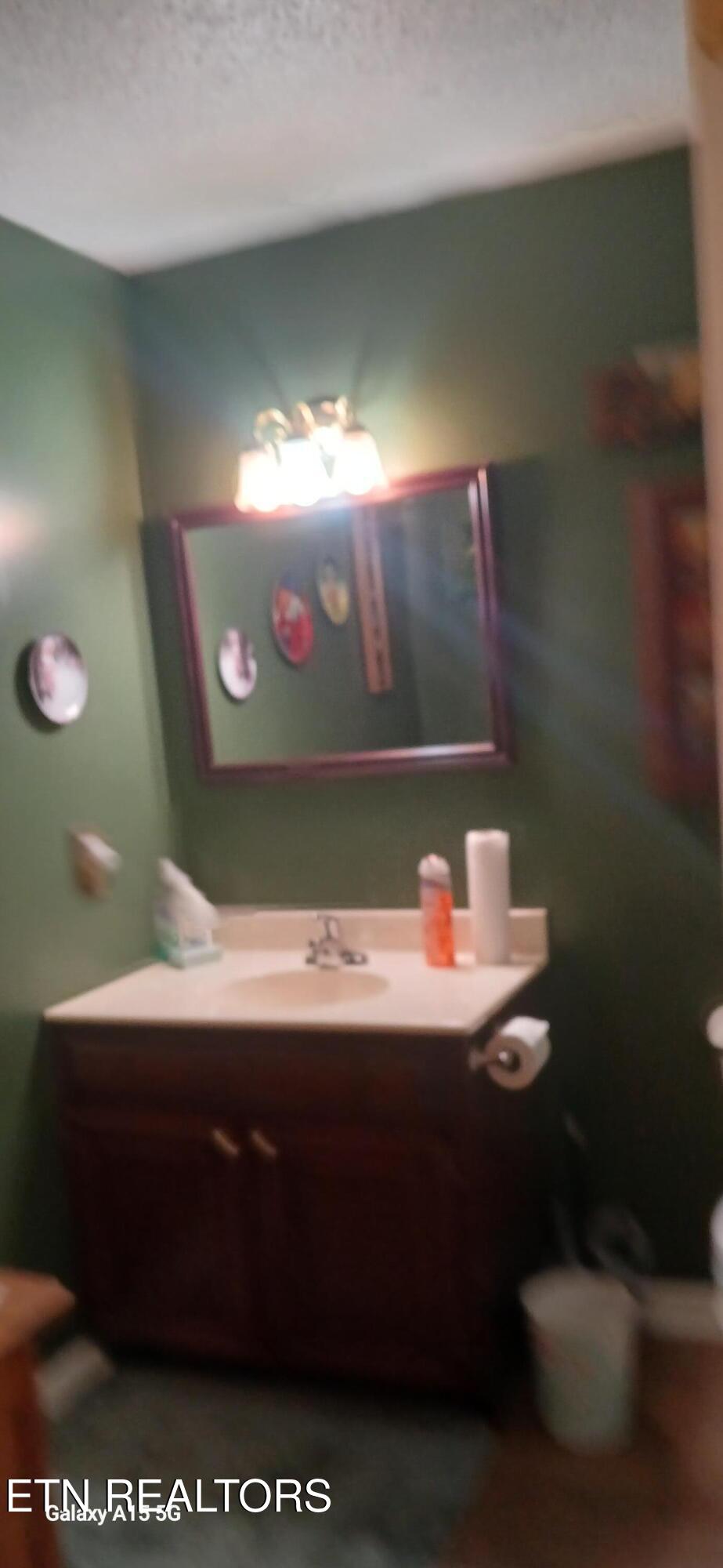 138 County Road 151 Riceville, TN 37370 - Photo 17 of 19 CB-Hall Bath