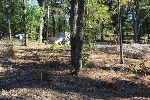 $85,000 | Lot 21 Paradise Lakes Road, Chipley, FL 32428