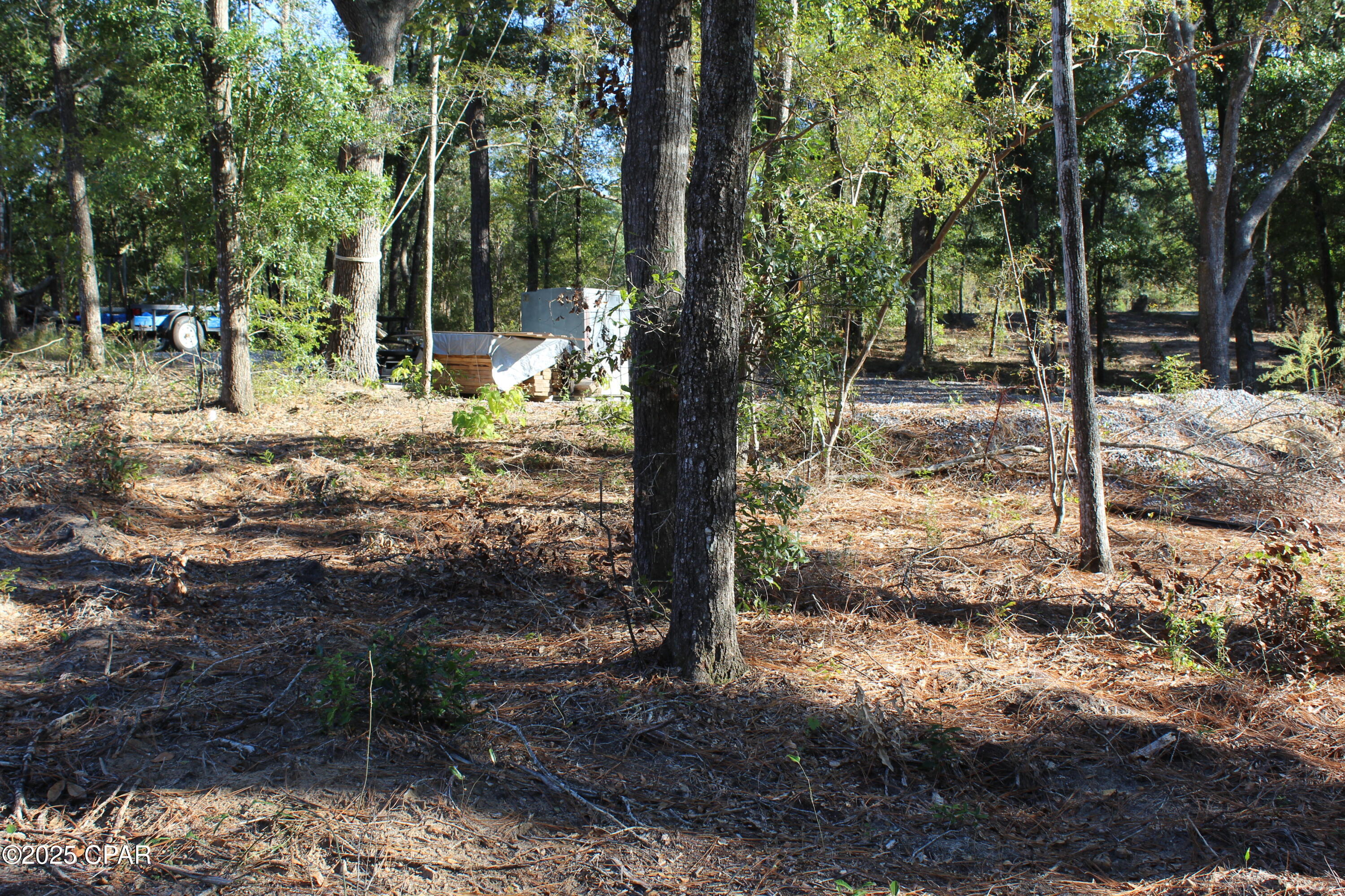 Lot 21 Paradise Lakes Road Chipley, FL 32428 - Photo 11 of 46